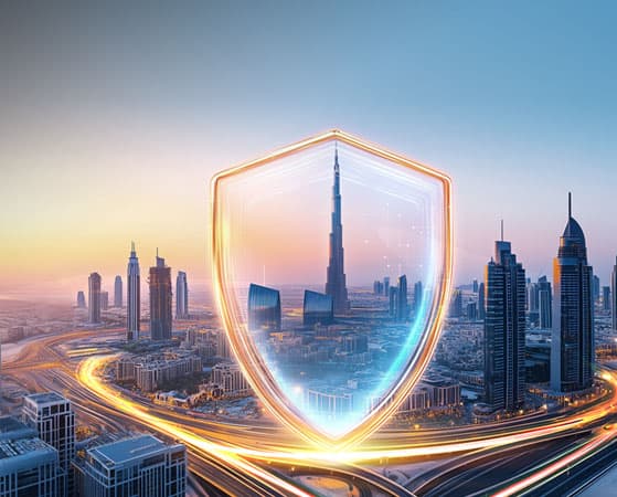 连云港网络公司 | 高端网站建设