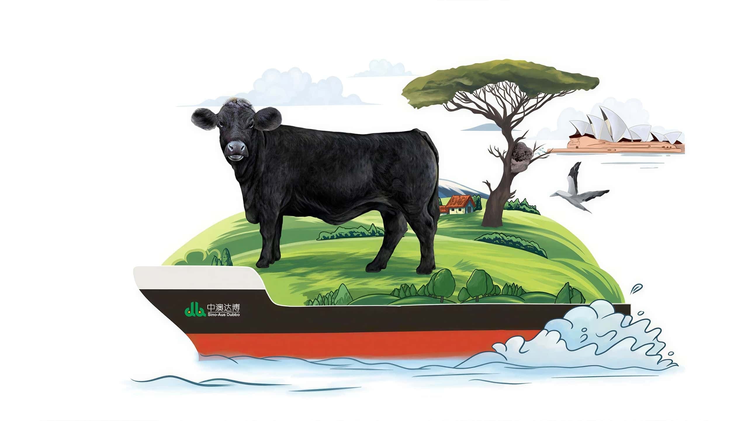 连云港战略品牌创建＆设计