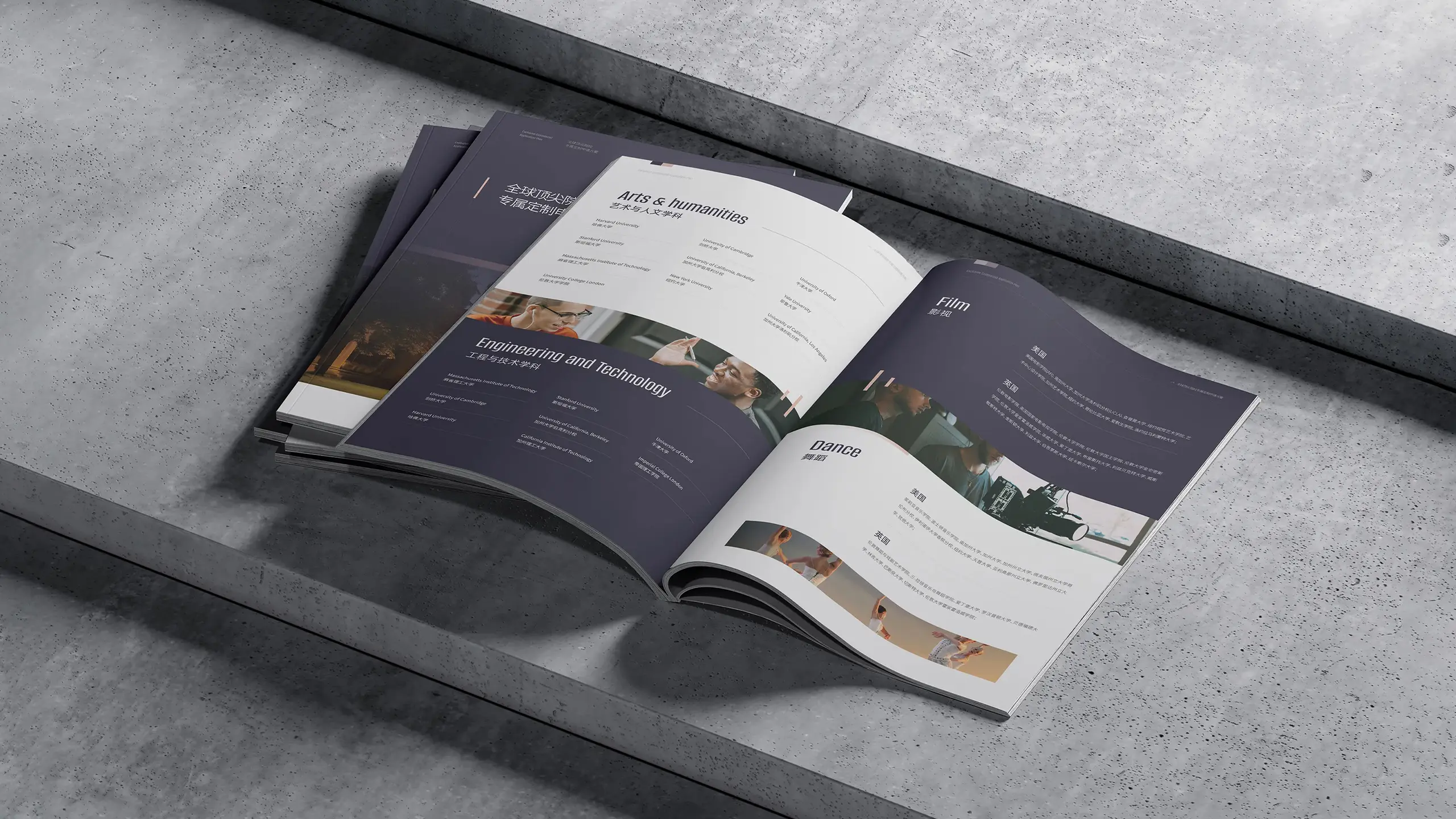 连云港企业画册设计